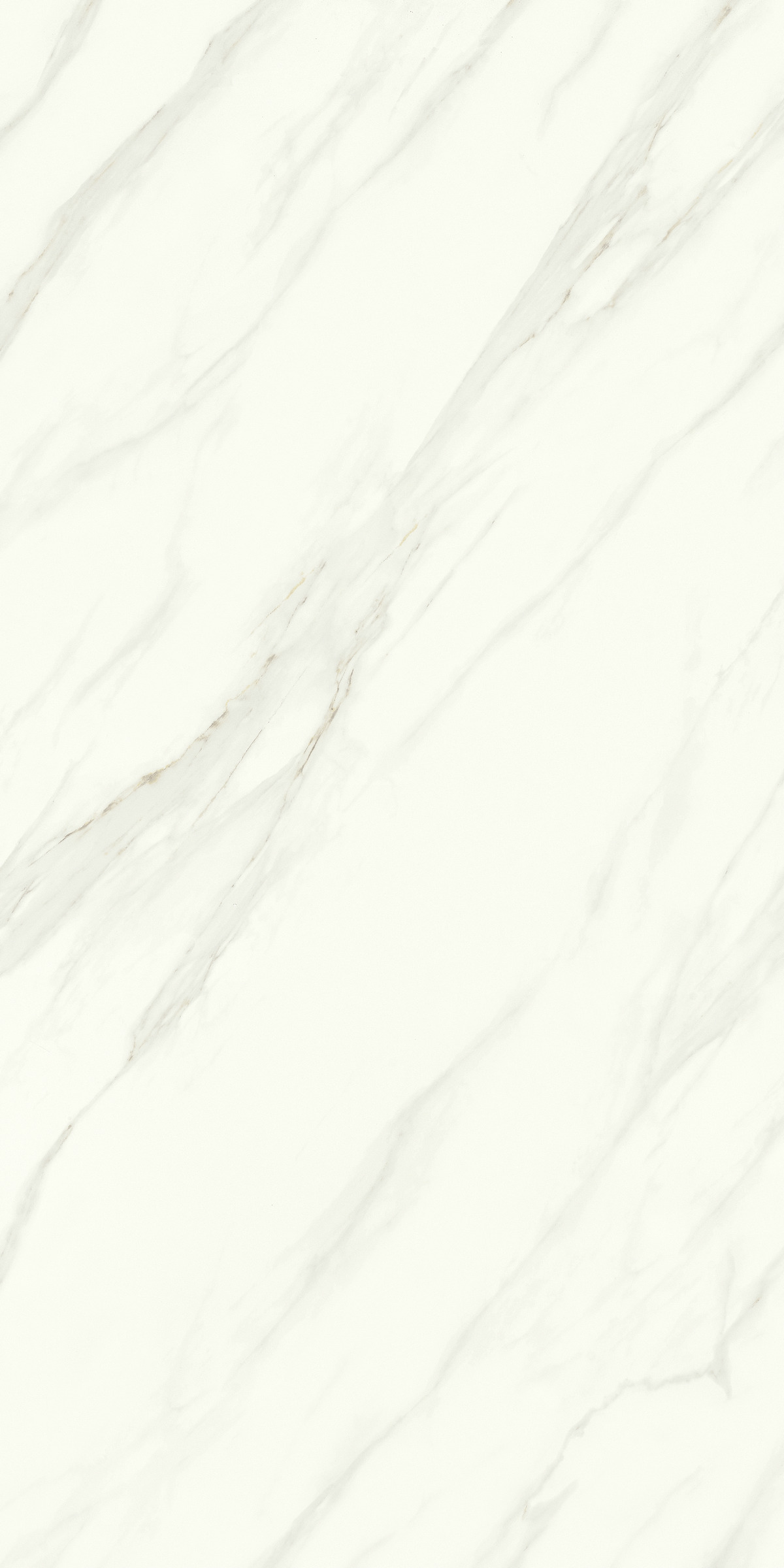 特級(jí)水云紗 DLP918203F 產(chǎn)品圖